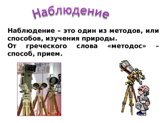 Исследовательская работа "В гостях у природы" - начальные классы, презентации