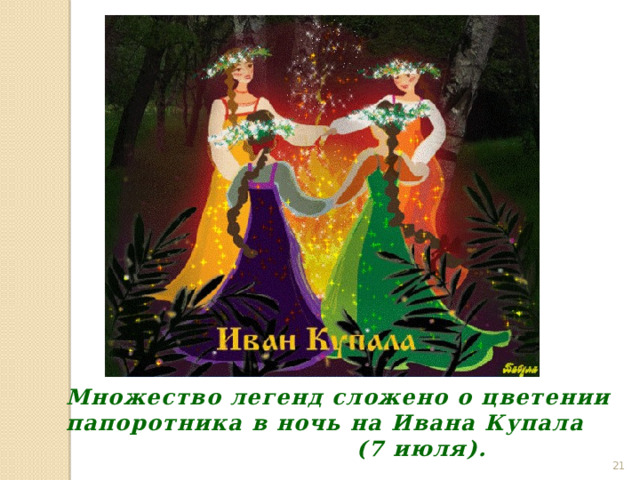 Множество легенд сложено о цветении папоротника в ночь на Ивана Купала  (7 июля).  