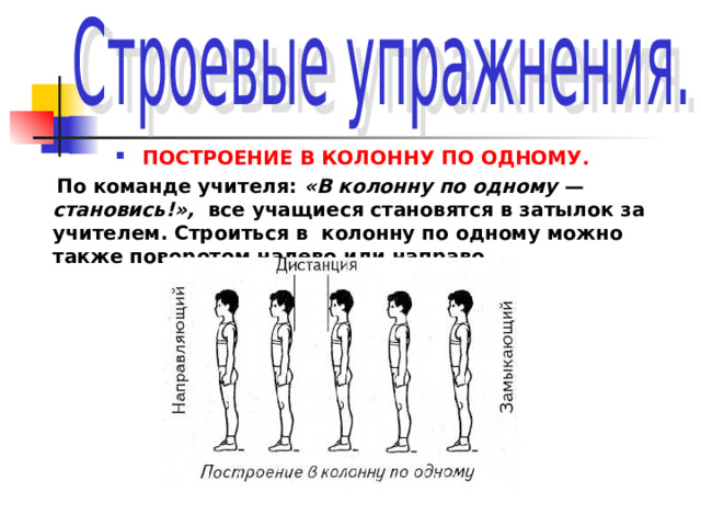 ПОСТРОЕНИЕ В КОЛОННУ ПО ОДНОМУ.  По команде учителя: «В колонну по одному — становись!», все учащиеся становятся в затылок за учителем. Строиться в колонну по одному можно также поворотом налево или направо.  
