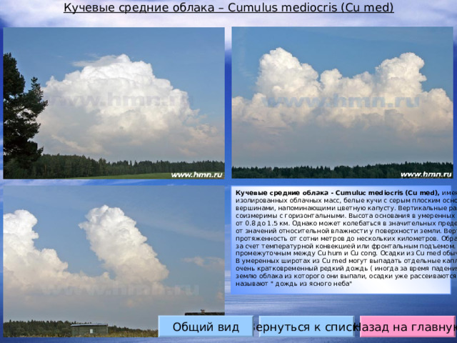 Кучевые средние облака – Cumulus mediocris (Cu med) Кучевые средние облака - Cumuluc mediocris (Cu med), имеющие вид изолированных облачных масс, белые кучи с серым плоским основанием и белыми вершинами, напоминающими цветную капусту. Вертикальные размеры Cu med соизмеримы с горизонтальными. Высота основания в умеренных широтах обычно от 0.8 до 1.5 км. Однако может колебаться в значительных пределах, в зависимости от значений относительной влажности у поверхности земли. Вертикальная протяженность от сотни метров до нескольких километров. Образуются они обычно за счет температурной конвекцией или фронтальным подъемом. Являются промежуточным между Cu hum и Cu cong. Осадки из Cu med обычно не выпадают. В умеренных широтах из Cu med могут выпадать отдельные капли дождя, или очень кратковременный редкий дождь ( иногда за время падения капель дождя на землю облака из которого они выпали, осадки уже рассеиваются. Такой дождь называют 