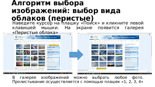 Алгоритм выбора изображений: выбор вида облаков (перистые) Наведите курсор на плашку «Поиск» и кликните левой клавишей мышки. На экране появится галерея «Перистые облака» В галерее изображений можно выбрать любое фото. Пролистывание осуществляется с помощью плашек «1, 2, 3, 4»