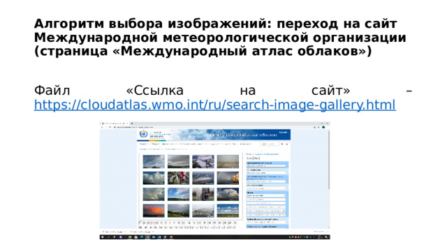 Алгоритм выбора изображений: переход на сайт Международной метеорологической организации (страница «Международный атлас облаков») Файл «Ссылка на сайт» – https://cloudatlas.wmo.int/ru/search-image-gallery.html