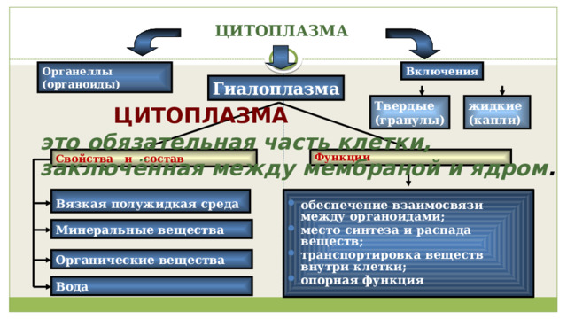 ЦИТОПЛАЗМА   Включения Органеллы (органоиды) Гиалоплазма жидкие Твердые (капли) (гранулы) ЦИТОПЛАЗМА это обязательная часть клетки, заключённая между мембраной и ядром . Свойства и состав Функции Вязкая полужидкая среда  обеспечение взаимосвязи между органоидами; место синтеза и распада веществ; транспортировка веществ внутри клетки; опорная функция Минеральные вещества  Органические вещества Вода 