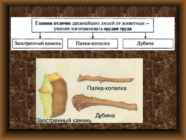 План урока истории 5 класс древнейшие люди