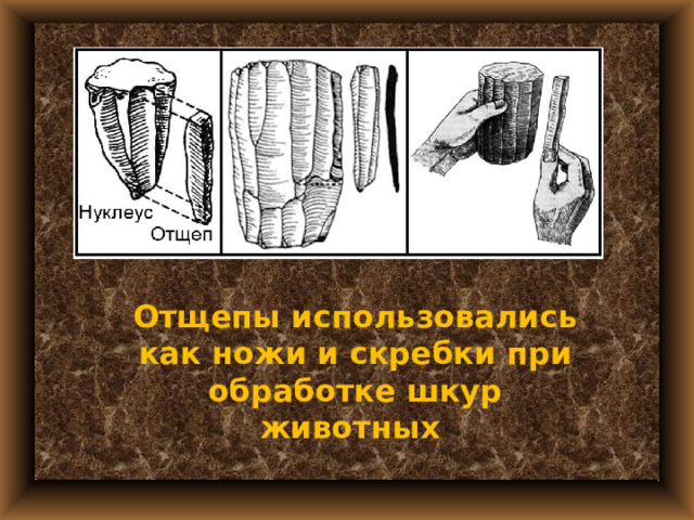 План урока истории 5 класс древнейшие люди