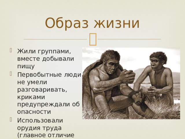 Образ жизни Жили группами, вместе добывали пищу Первобытные люди не умели разговаривать, криками предупреждали об опасности Использовали орудия труда (главное отличие человека о животного) 