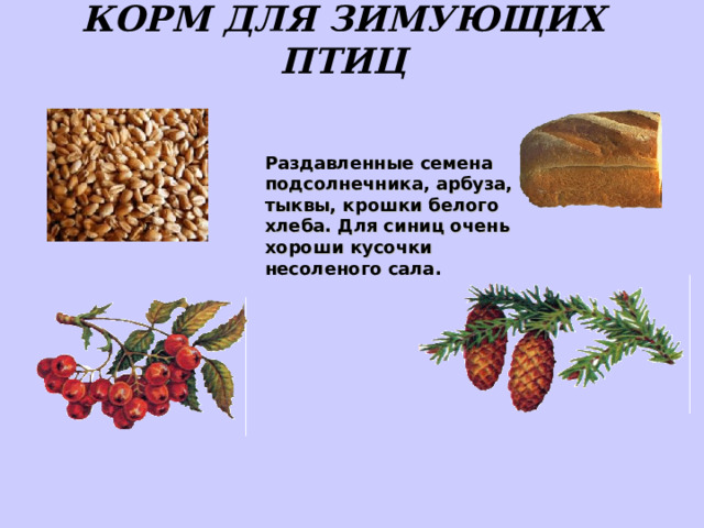 КОРМ ДЛЯ ЗИМУЮЩИХ ПТИЦ Раздавленные семена подсолнечника, арбуза, тыквы, крошки белого хлеба. Для синиц очень хороши кусочки несоленого сала. 