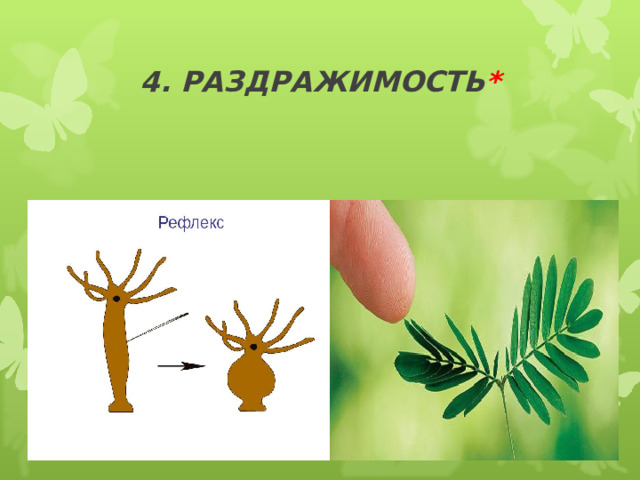 Движение 6 класс биология презентация