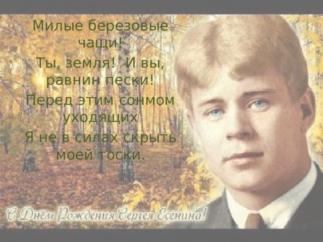 Милые березовые чащи есенин