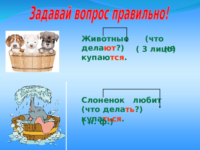 Животные (что дела ют ?) не купаю тся . ( 3 лицо) Слоненок любит (что дела ть ?) купа ться . ( н. ф.) 