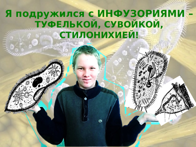 Я подружился с ИНФУЗОРИЯМИ – ТУФЕЛЬКОЙ, СУВОЙКОЙ, СТИЛОНИХИЕЙ! 