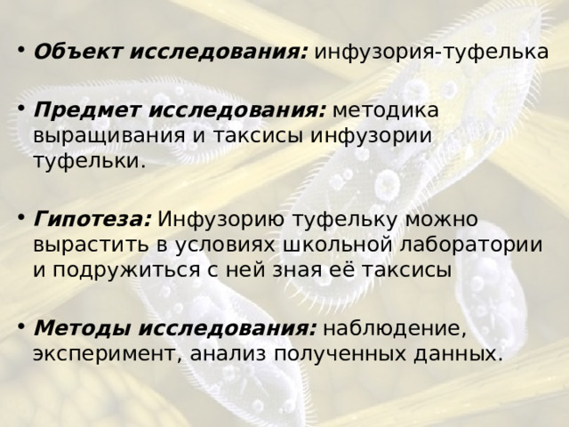 Объект исследования: инфузория-туфелька  Предмет исследования: методика выращивания и таксисы инфузории туфельки.  Гипотеза:  Инфузорию туфельку можно вырастить в условиях школьной лаборатории и подружиться с ней зная её таксисы  Методы исследования: наблюдение, эксперимент, анализ полученных данных. 