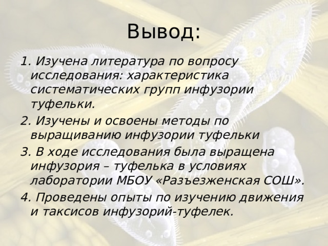 Вывод: 1. Изучена литература по вопросу исследования: характеристика систематических групп инфузории туфельки. 2. Изучены и освоены методы по выращиванию инфузории туфельки 3. В ходе исследования была выращена инфузория – туфелька в условиях лаборатории МБОУ «Разъезженская СОШ». 4. Проведены опыты по изучению движения и таксисов инфузорий-туфелек. 