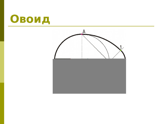 Овоид 