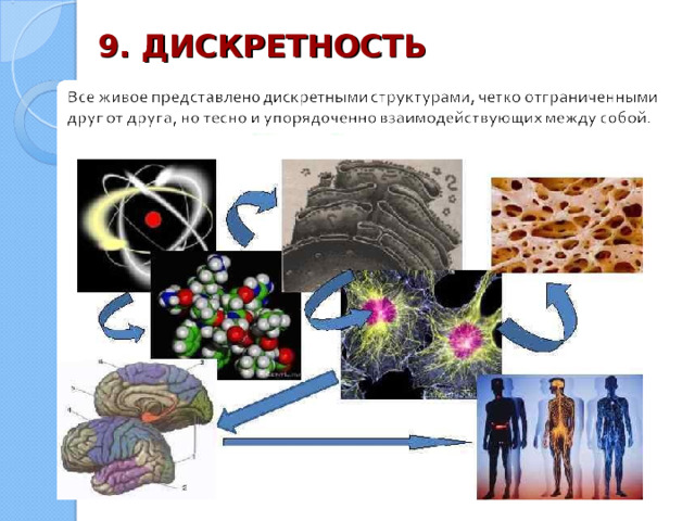 9. ДИСКРЕТНОСТЬ  