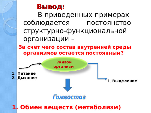 Вывод:  В приведенных примерах соблюдается постоянство структурно-функциональной организации – За счет чего состав внутренней среды организмов остается постоянным?    Живой организм Питание Дыхание 1. Выделение 1. Обмен веществ (метаболизм) 