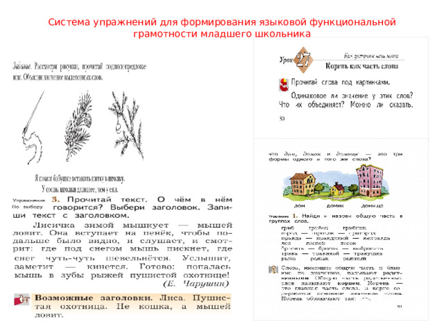 Функциональная грамотность 4 класс задания. Функциональная грамотность 2 класс ответы к заданиям стр 18 медвежата. Функциональная грамотность 2 класс 5 задание 7 страница про белку.