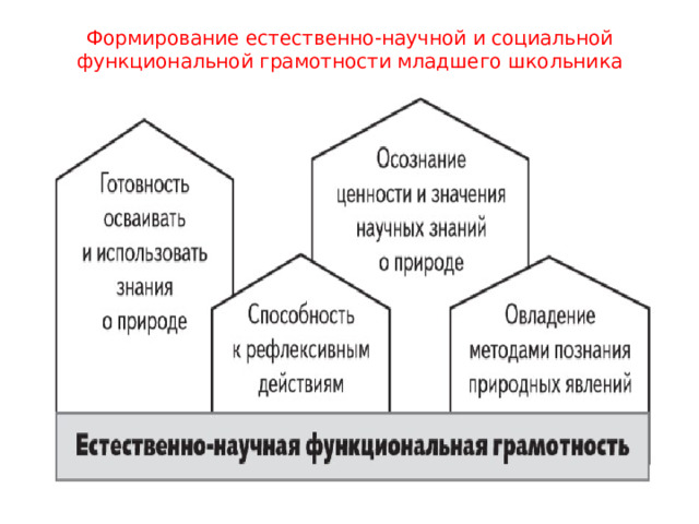 Формирование естественно-научной и социальной функциональной грамотности младшего школьника   