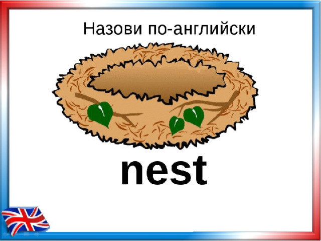 Pie транскрипция. Гнездо карточка по английскому. Гнездо на английском языке. Карточки по английскому языку Nest. Гнездо по английскому языку.