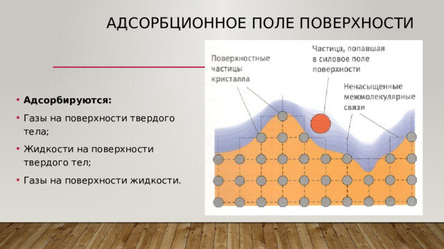 Адсорбционное поле поверхности Адсорбируются: Газы на поверхности твердого тела; Жидкости на поверхности твердого тел; Газы на поверхности жидкости. 