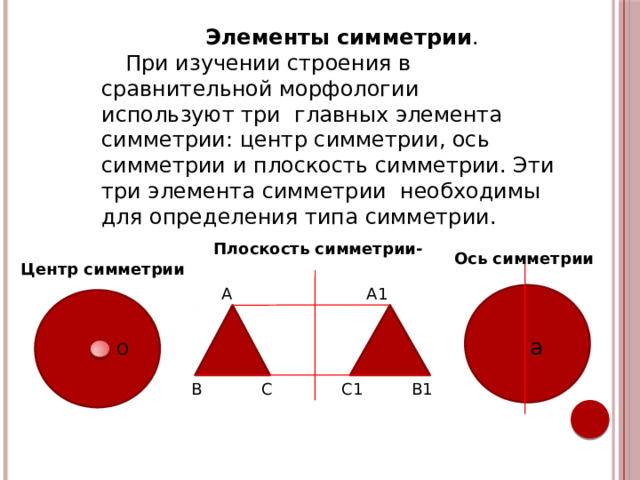 Элементы симметрии . При изучении строения в сравнительной морфологии используют три главных элемента симметрии: центр симметрии, ось симметрии и плоскость симметрии. Эти три элемента симметрии необходимы для определения типа симметрии. Плоскость симметрии- Ось симметрии  Центр симметрии А1 А О а О В С1 С В1  