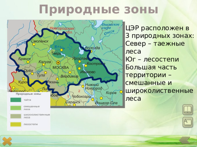 Природные зоны ЦЭР расположен в 3 природных зонах: Север – таежные леса Юг – лесостепи Большая часть территории – смешанные и широколиственные леса 