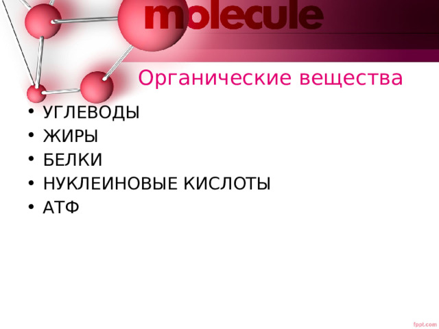 Органические вещества УГЛЕВОДЫ ЖИРЫ БЕЛКИ НУКЛЕИНОВЫЕ КИСЛОТЫ АТФ 