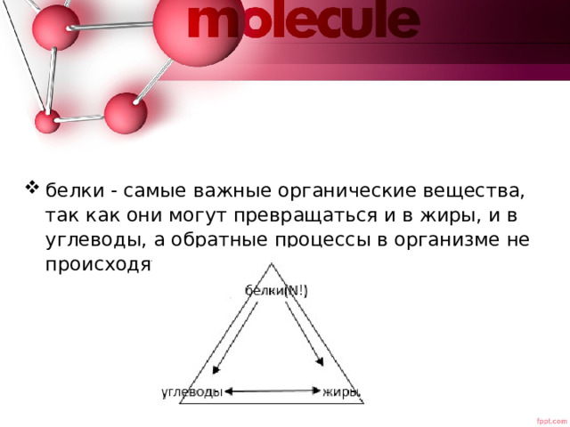 белки - самые важные органические вещества, так как они могут превращаться и в жиры, и в углеводы, а обратные процессы в организме не происходят 