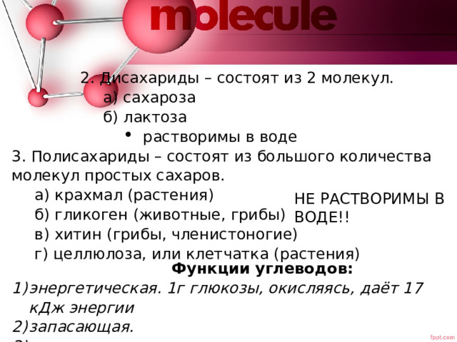     2. Дисахариды – состоят из 2 молекул.    а) сахароза    б) лактоза растворимы в воде растворимы в воде растворимы в воде растворимы в воде растворимы в воде растворимы в воде 3. Полисахариды – состоят из большого количества молекул простых сахаров. а) крахмал (растения) б) гликоген (животные, грибы) в) хитин (грибы, членистоногие) г) целлюлоза, или клетчатка (растения) НЕ РАСТВОРИМЫ В ВОДЕ!!       Функции углеводов: энергетическая. 1г глюкозы, окисляясь, даёт 17 кДж энергии запасающая. структурная – входят в состав, например, клеточных стенок . 