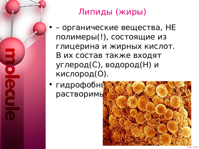 Составом а также содержат в. Органические вещества презентация. Липиды жиры органические вещества. Органические вещества клетки липиды. Липиды это органические соединения состоящие из жирных кислот.