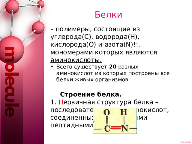 Белки – полимеры, состоящие из углерода(С), водорода(Н), кислорода(О) и азота(N)!!, мономерами которых являются аминокислоты. Всего существует 20 разных аминокислот из которых построены все белки живых организмов.  Строение белка. 1. П ервичная структура белка – последовательность аминокислот, соединенных ковалентными п ептидными связями. 