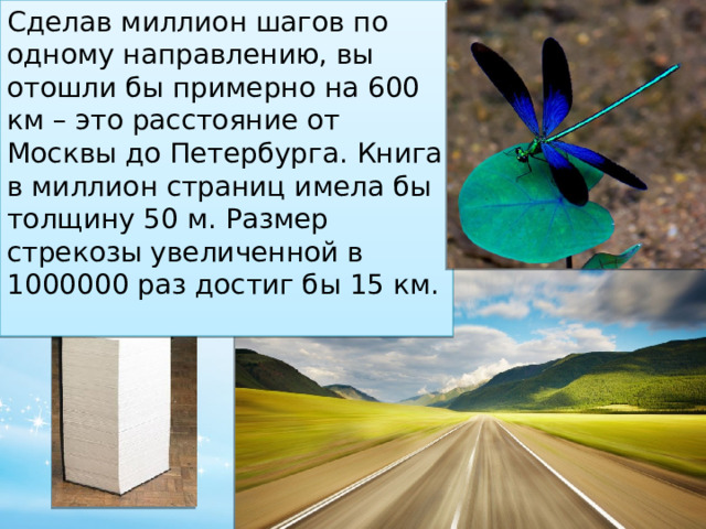 Сделав миллион шагов по одному направлению, вы отошли бы примерно на 600 км – это расстояние от Москвы до Петербурга. Книга в миллион страниц имела бы толщину 50 м. Размер стрекозы увеличенной в 1000000 раз достиг бы 15 км. 