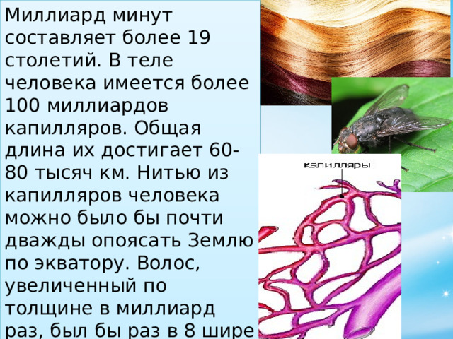 Миллиард минут составляет более 19 столетий. В теле человека имеется более 100 миллиардов капилляров. Общая длина их достигает 60-80 тысяч км. Нитью из капилляров человека можно было бы почти дважды опоясать Землю по экватору. Волос, увеличенный по толщине в миллиард раз, был бы раз в 8 шире земного шара, а муха при таком увеличении была бы в 70 раз толще Солнца!  
