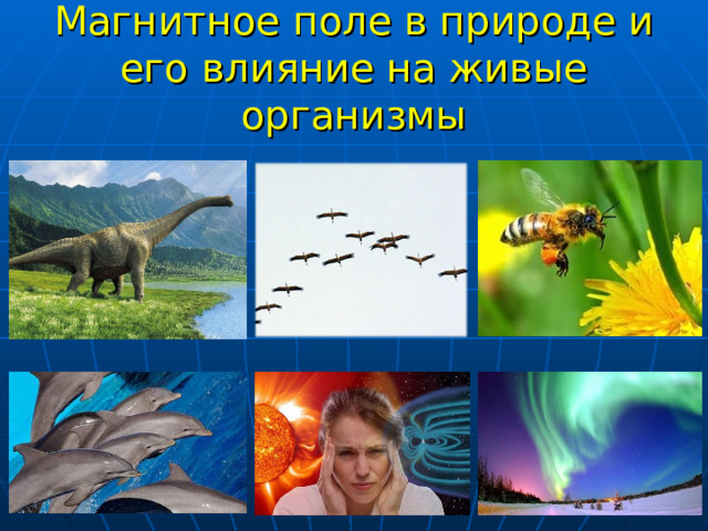 Магнитное поле в природе и его влияние на живые организмы 