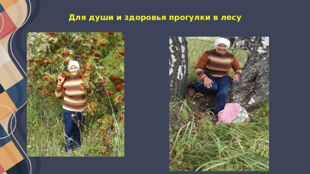 Для души и здоровья прогулки в лесу 
