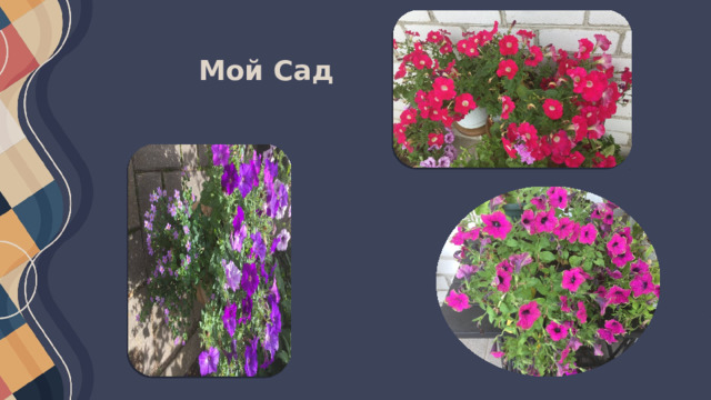 Мой Сад 