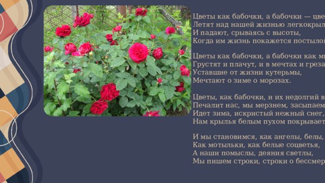 Цветы как бабочки, а бабочки — цветы.  Летят над нашей жизнью легкокрыло,  И падают, срываясь с высоты,  Когда им жизнь покажется постылой.   Цветы как бабочки, а бабочки как мы,  Грустят и плачут, и в мечтах и грезах,  Уставшие от жизни кутерьмы,  Мечтают о зиме о морозах. Цветы, как бабочки, и их недолгий век  Печалит нас, мы мерзнем, засыпаем,  Идет зима, искристый нежный снег,  Нам крылья белым пухом покрывает.   И мы становимся, как ангелы, белы,  Как мотыльки, как белые соцветья,  А наши помыслы, деяния светлы,  Мы пишем строки, строки о бессмертье.   