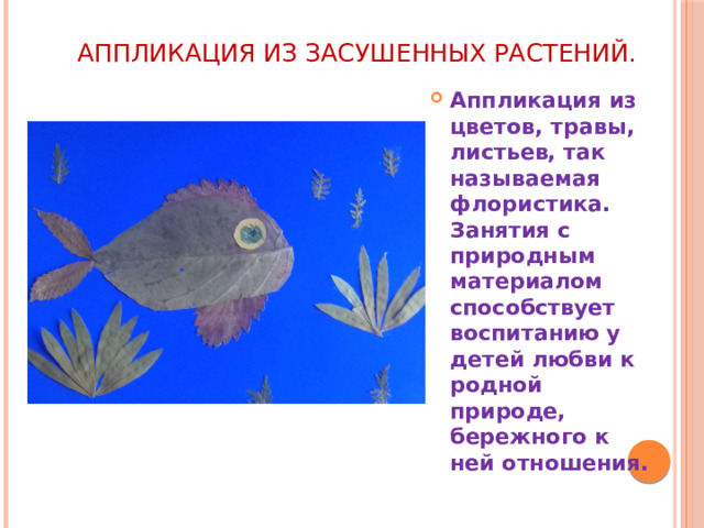 АППЛИКАЦИЯ ИЗ ЗАСУШЕННЫХ РАСТЕНИЙ.   Аппликация из цветов, травы, листьев, так называемая флористика. Занятия с природным материалом способствует воспитанию у детей любви к родной природе, бережного к ней отношения. 