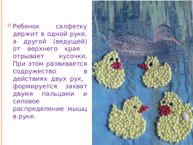 Ребенок салфетку держит в одной руке, а другой (ведущей) от верхнего края отрывает кусочки. При этом развивается содружество в действиях двух рук, формируется захват двумя пальцами и силовое распределение мышц в руке. 