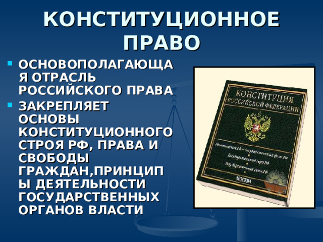 Презентация современное российское законодательство 10 класс боголюбов