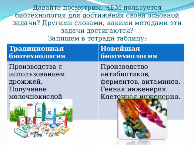 Образец заполнения проекта естественного лесовосстановления