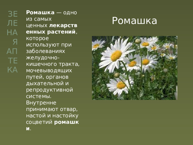 Одуванчик вид род отдел царство. Систематика ромашки аптечной. Классификация ромашки аптечной. Систематика растений Ромашка аптечная. Систематическое положение ромашки лекарственной.