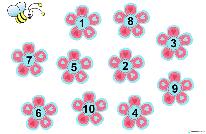 Цветы с цифрами в середине картинки для детей