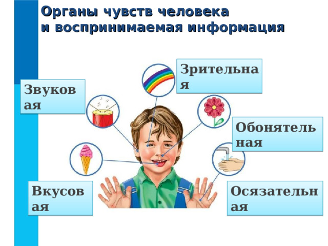 Воспринимаемые органами чувств