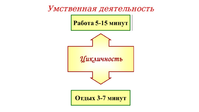 Умственная деятельность 