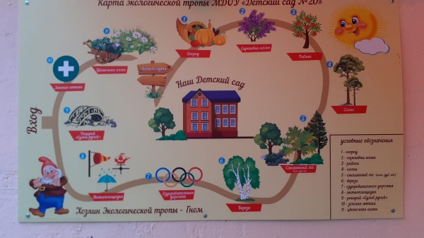 Проект в доу экологическая тропа в доу