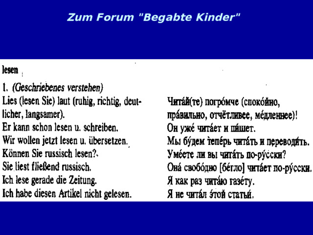 Zum Forum 