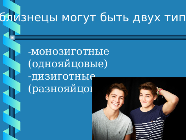 Близнецы похожи или нет проект. Близнецы типы. Монозиготные и дизиготные Близнецы. Близнецы похожи или нет проект по биологии. Эффективность проекта Близнецы похожи или нет.