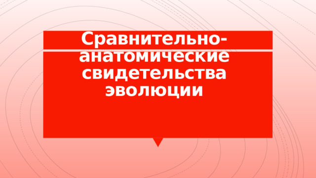 Сравнительно-анатомические свидетельства эволюции 