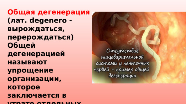 Общая дегенерация (лат. degenero - вырождаться, перерождаться) Общей дегенерацией называют упрощение организации, которое заключается в утрате отдельных органов и систем органов. 